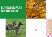 Bungalowpark Hoenderloo bedenkt een nieuw instrument om hostmanship leuker en efficiënter te maken