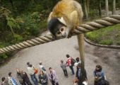Ontwikkelen voor aap, mens én natuur