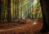 Apeldoorn gaat voor vitale vakantieparken