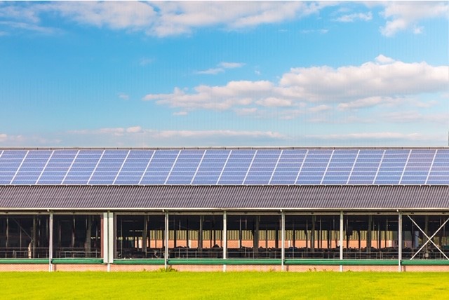 Zonnepanelen op een stal