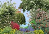 IVN Sponsort Tuiny Forest locaties